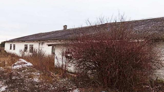 Коровник в аг.Псуя, инв. №16 (Витебская обл., Глубокский р-н, аг.Псуя)