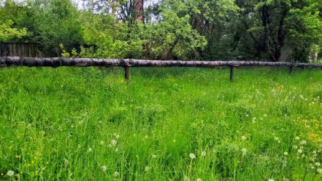 Комплекс зданий и сооружений механической прачечной (прачечная, склад, трансформаторная подстанция, компрессорная) общей пл. 1382,9 кв.м. с сетями (Витебская обл., г.Орша, ул. Южная, 1А)
