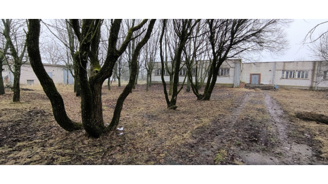 Капитальное строение с инв. №602/C-22080, торговый центр пл. 490,1 кв.м. (Минская обл., Пуховичский р-н, д.Новополье, ул. Молодежная)