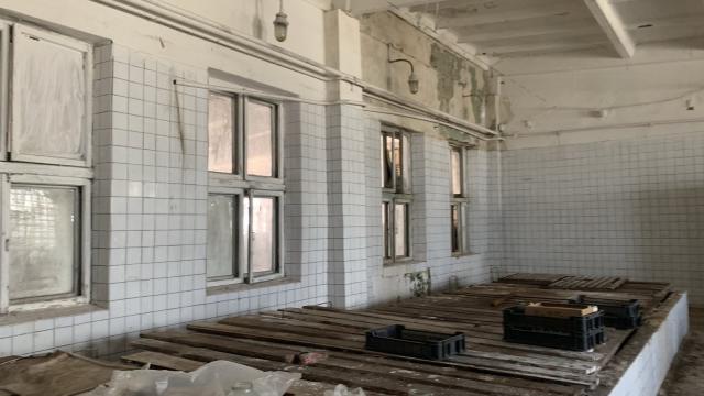 Капитальное строение с инв. №613/С-15354, склад пл. 806,6 кв.м. (Минская обл., Крупский р-н, г.Крупки, ул. Интернациональная, 75А/4)