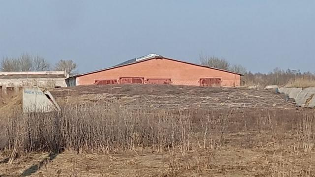 Сенажная траншея в д.Ивесь, инв. №1211 (Витебская обл., Глубокский р-н, Псуевский с/с, вблизи д.Ивесь)