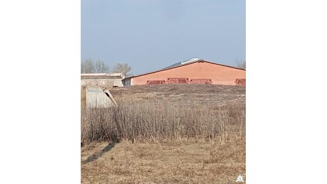 Сенажная траншея в д.Ивесь, инв. №1211 (Витебская обл., Глубокский р-н, Псуевский с/с, вблизи д.Ивесь)