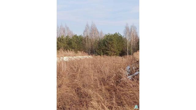 Сенажная траншея в д.Ивесь, инв. №1397 (Витебская обл., Глубокский р-н, Псуевский с/с, вблизи д.Ивесь)