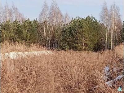 Сенажная траншея в д.Ивесь, инв. №1397 (Витебская обл., Глубокский р-н, Псуевский с/с, вблизи д.Ивесь)