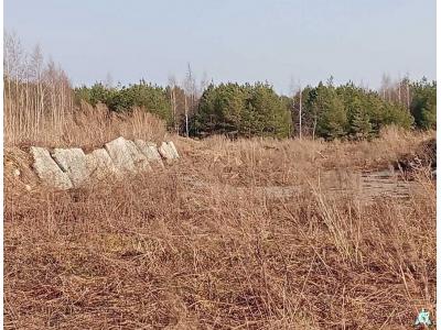 Сенажная траншея в д.Ивесь, инв. №1398 (Витебская обл., Глубокский р-н, Псуевский с/с, вблизи д.Ивесь)