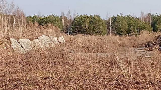 Сенажная траншея в д.Ивесь, инв. №1398 (Витебская обл., Глубокский р-н, Псуевский с/с, вблизи д.Ивесь)