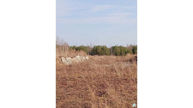 Сенажная траншея в д.Ивесь, инв. №1398 (Витебская обл., Глубокский р-н, Псуевский с/с, вблизи д.Ивесь)