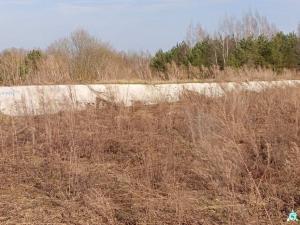 Сенажная траншея в д.Ивесь, инв. №1399 (Витебская обл., Глубокский р-н, Псуевский с/с, вблизи д.Ивесь)