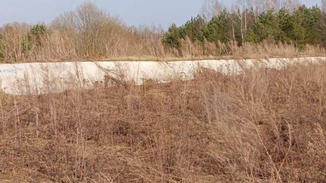 Сенажная траншея в д.Ивесь, инв. №1399 (Витебская обл., Глубокский р-н, Псуевский с/с, вблизи д.Ивесь)