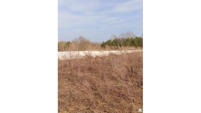 Сенажная траншея в д.Ивесь, инв. №1399 (Витебская обл., Глубокский р-н, Псуевский с/с, вблизи д.Ивесь)