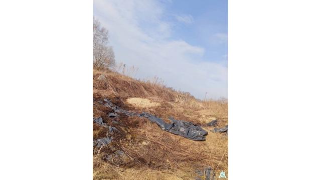 Сенажная траншея в д.Обруб, инв. №5006 (Витебская обл., Глубокский р-н, Псуевский с/с, вблизи д.Обруб)