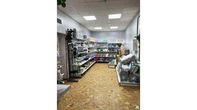 Продажа права на заключение договора аренды помещений магазина пл. 127,3 кв.м. с торговым и холодильным оборудованием для размещения объекта розничной торговли (Минская обл., Минский р-н, г.Заславль, ул. Советская, 29). Начальная цена (размер ежемесячной