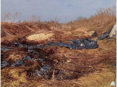 Сенажная траншея в д.Обруб, инв. №5006 (Витебская обл., Глубокский р-н, Псуевский с/с, вблизи д.Обруб)