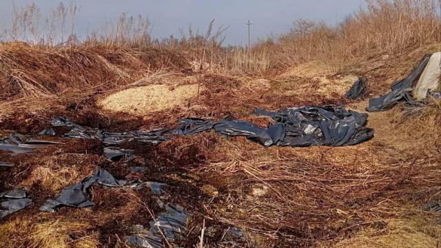 Сенажная траншея в д.Обруб, инв. №5006 (Витебская обл., Глубокский р-н, Псуевский с/с, вблизи д.Обруб)