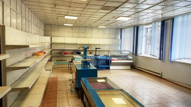 Капитальное строение с инв. №601/C-13256, магазин №43 пл. 98,8 кв.м. (Минская обл., Логойский р-н, Логойский с/с, д.Знаменка)