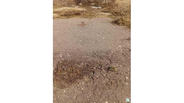 Сенажная траншея в аг.Псуя, инв. №5029 (Витебская обл., Глубокский р-н, аг.Псуя)