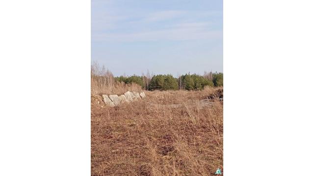 Сенажная траншея в аг.Псуя, инв. №5023 (Витебская обл., Глубокский р-н, аг.Псуя)