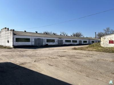 Комплекс 2 складов (фруктохранилище и овощехранилище) общей пл. 2013,6 м.кв., расположенных на двух земельных участках общ. пл. 0,4372 га (Минская обл., Пуховичский р-н, г.Марьина Горка, ул. Андреевская, 16/4 и 16/5)