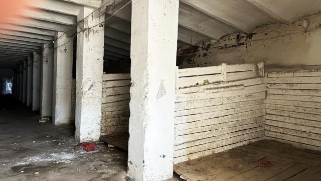 Комплекс 2 складов (фруктохранилище и овощехранилище) общей пл. 2013,6 м.кв., расположенных на двух земельных участках общ. пл. 0,4372 га (Минская обл., Пуховичский р-н, г.Марьина Горка, ул. Андреевская, 16/4 и 16/5)