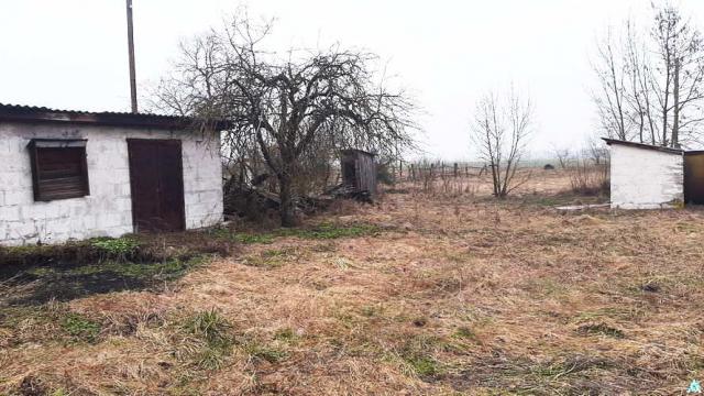 Капитальное строение с инв. №130/С-52951, магазин пл. 94,9 кв.м. (Брестская обл., Пинский р-н, Боричевичский с/с, д.Тырвовичи,  ул. Центральная, 21)