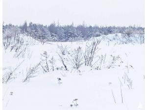 Артскважина в д.Гараны, инв. №1081 (Витебская обл., Глубокский р-н, Псуевский с/с, д.Гараны)