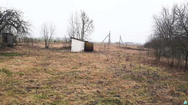 Капитальное строение с инв. №130/С-52951, магазин пл. 94,9 кв.м. (Брестская обл., Пинский р-н, Боричевичский с/с, д.Тырвовичи,  ул. Центральная, 21)