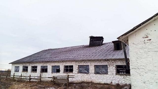 Коровник с молочным блоком в аг.Псуя, инв. №5008 (Витебская обл., Глубокский р-н, аг.Псуя)