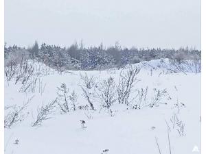 Сенажная траншея в д.Ивесь, инв. №1209 (Витебская обл., Глубокский р-н, Псуевский с/с, вблизи д.Ивесь)