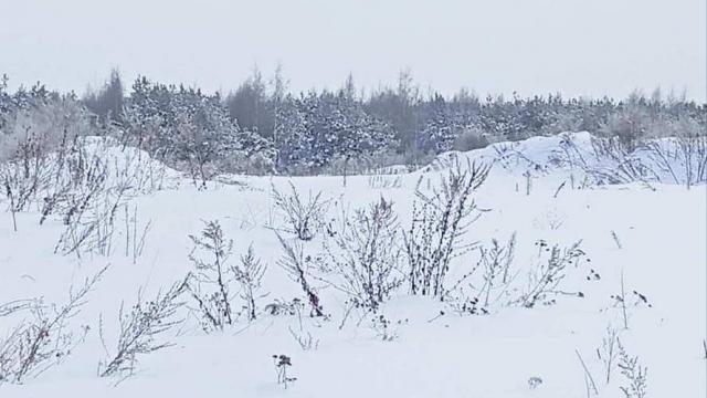 Сенажная траншея в д.Ивесь, инв. №1209 (Витебская обл., Глубокский р-н, Псуевский с/с, вблизи д.Ивесь)