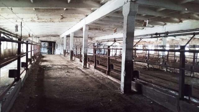 Коровник с молочным блоком в аг.Псуя, инв. №5008 (Витебская обл., Глубокский р-н, аг.Псуя)