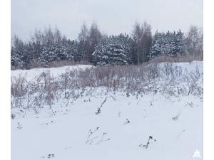 Сенажная траншея в д.Ивесь, инв. №1211 (Витебская обл., Глубокский р-н, Псуевский с/с, вблизи д.Ивесь)