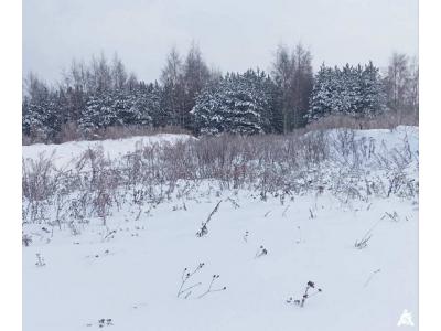Сенажная траншея в д.Ивесь, инв. №1211 (Витебская обл., Глубокский р-н, Псуевский с/с, вблизи д.Ивесь)