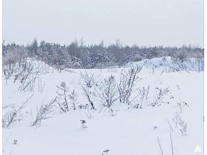 Сенажная траншея в д.Ивесь, инв. №1397 (Витебская обл., Глубокский р-н, Псуевский с/с, вблизи д.Ивесь)