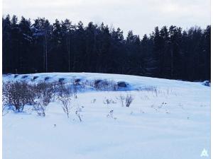 Сенажная траншея в д.Ивесь, инв. №1398 (Витебская обл., Глубокский р-н, Псуевский с/с, вблизи д.Ивесь)