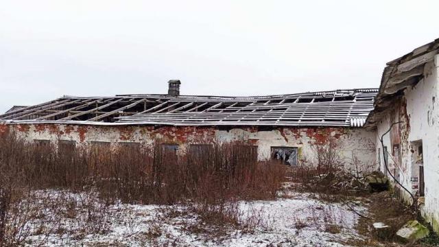 Коровник в д.Обруб, инв. №5005 (Витебская обл., Глубокский р-н, Псуевский с/с, вблизи д.Обруб)