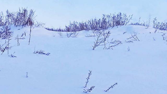 Сенажная траншея в д.Обруб, инв. №5006 (Витебская обл., Глубокский р-н, Псуевский с/с, вблизи д.Обруб)