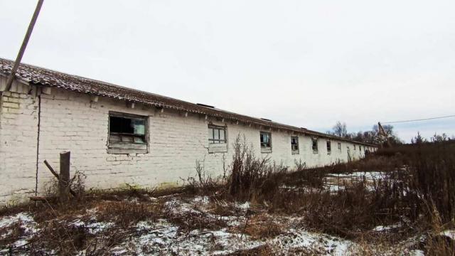 Телятник в д.Обруб, инв. №5007 (Витебская обл., Глубокский р-н, Псуевский с/с, вблизи д.Обруб)