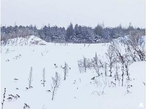 Сенажная траншея в аг.Псуя, инв. №5027 (Витебская обл., Глубокский р-н, аг.Псуя)