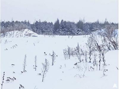 Сенажная траншея в аг.Псуя, инв. №5027 (Витебская обл., Глубокский р-н, аг.Псуя)