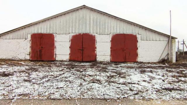 Телятник в д.Обруб, инв. №5007 (Витебская обл., Глубокский р-н, Псуевский с/с, вблизи д.Обруб)