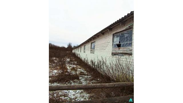 Телятник в д.Обруб, инв. №5007 (Витебская обл., Глубокский р-н, Псуевский с/с, вблизи д.Обруб)