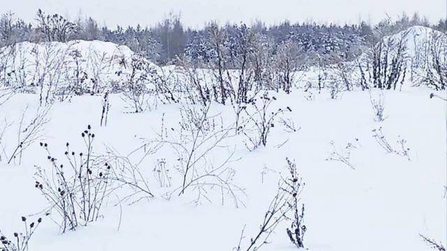 Сенажная траншея в аг.Псуя, инв. №5024 (Витебская обл., Глубокский р-н, аг.Псуя)