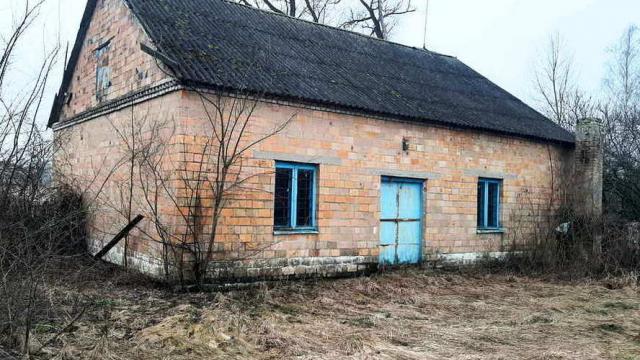 Капитальное строение с инв. №130/С-52950, магазин пл. 100,5 кв.м. (Брестская обл., Пинский р-н, Боричевичский с/с, д.Вуйвичи, ул. Столинская, 7)