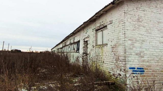 Телятник для молодняка в аг.Псуя, инв. №5030 (Витебская обл., Глубокский р-н, аг.Псуя)