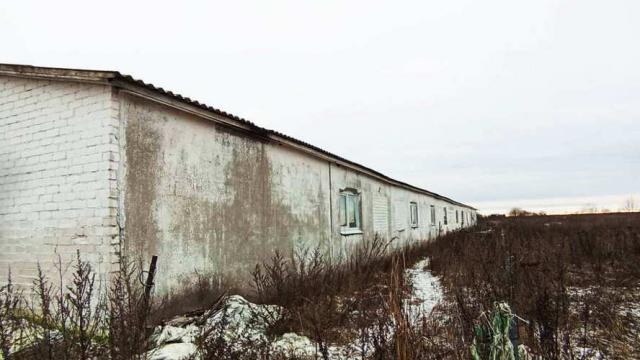 Телятник на 200 голов в аг.Псуя, инв. №5031 (Витебская обл., Глубокский р-н, аг.Псуя)