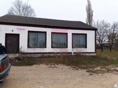 Капитальное строение с инв. №130/С-55347, магазин пл. 91,1 кв.м. (Брестская обл., Пинский р-н, Березовичский с/с, д.Выжловичи, ул.Тополиная, 2)
