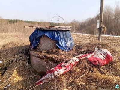 Артскважина в д.Гараны, инв. №1081 (Витебская обл., Глубокский р-н, Псуевский с/с, д.Гараны)