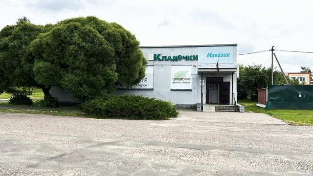 Капитальное строение с инв. №600/C-140004, магазин №4 пл. 266,9 кв.м. (Минская обл., Минский р-н, г.Заславль, ул. Пионерская, 5)