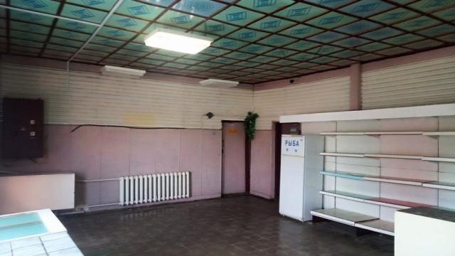 Капитальное строение с инв. №620/C-46420, магазина пл. 107,8 кв.м. (Минская обл., Дзержинский р-н, Боровской с/с, д.Старинки, ул. Центральная, 43)